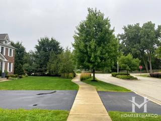 Alexandra Court subdivision in Northbrook, IL