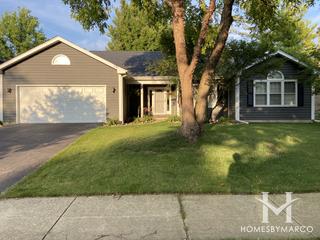 Photos of Silver Leaf subdivision in Naperville, IL