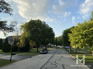 Silver Leaf subdivision in Naperville, IL