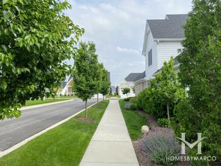 Lakeside Pointe subdivision in Burr Ridge, IL