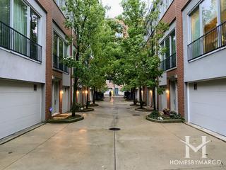 Hinman Lane Townhomes building in Evanston, IL