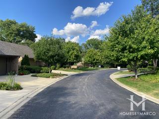Spring Cove subdivision in Elgin, IL