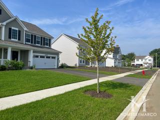 Avery Ridge subdivision in Lake Zurich, IL