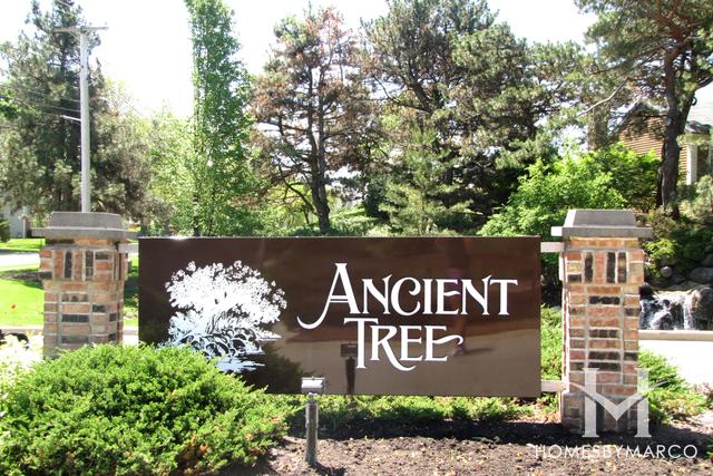 Photos of Ancient Tree subdivision in Northbrook, IL