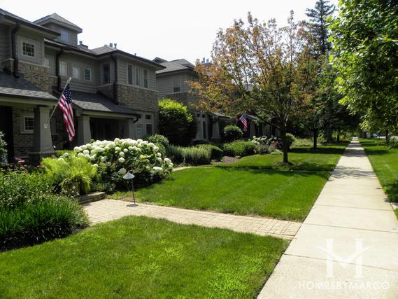 Larch Avenue Rowhomes subdivision in Elmhurst, IL