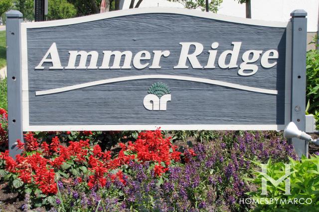 Ammer Ridge subdivision in Glenview, IL