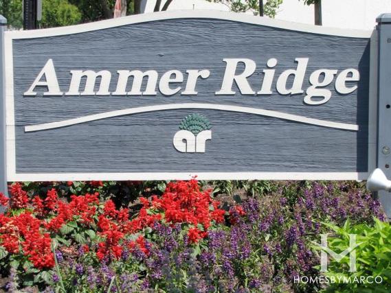 Ammer Ridge subdivision in Glenview, IL