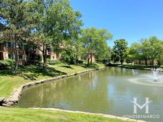 Dearlove Cove subdivision in Glenview, IL