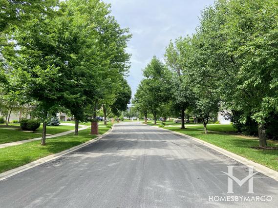 Eagle Chase subdivision in Plainfield, IL