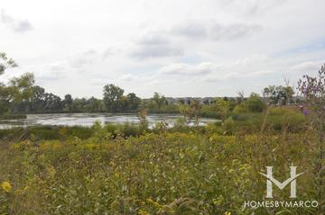 Grand Dominion subdivision in Mundelein, IL