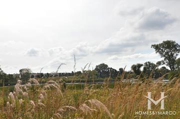 Grand Dominion subdivision in Mundelein, IL