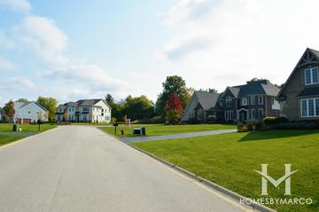Sanctuary Club subdivision in Kildeer, IL