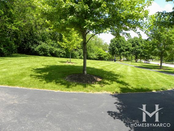 Mill Creek Tanna subdivision in Geneva, IL