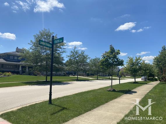 Bridges Of Mokena subdivision in Mokena, IL