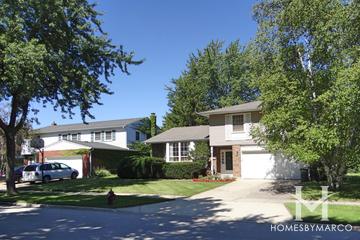 Arlington Terrace subdivision in Arlington Heights, IL