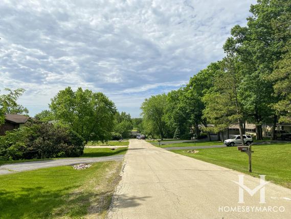 Old Orchard subdivision in Lockport, IL