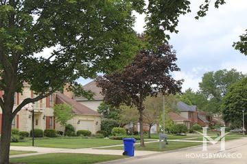 Stonehedge subdivision in Wheaton, IL