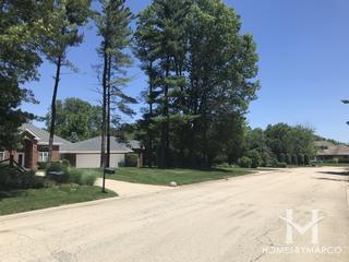 Meadows Edge subdivision in Homer Glen, IL