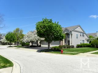 Willoughby South subdivision in Algonquin, IL