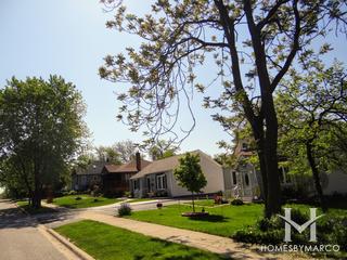 Ashland Oaks subdivision in Homewood, IL