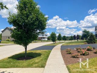 Sanctuary Pointe subdivision in New Lenox, IL