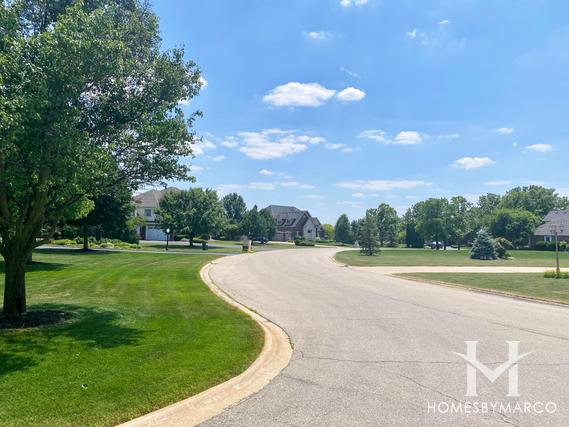 Chessington Grove East subdivision in New Lenox, IL