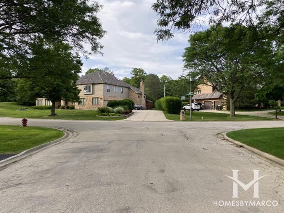 Photos of Devon Woods subdivision in Burr Ridge, IL