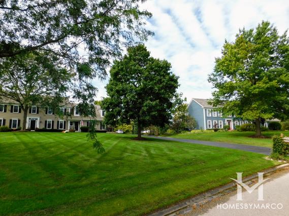 Dover Pond subdivision in Deer Park, IL