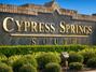 Cypress Springs