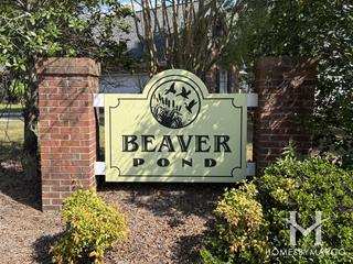 Beaver Pond