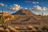 Pinnacle Pointe