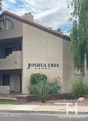 Joshua Tree subdivision in Paradise Valley, AZ
