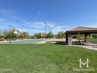 Grayfox at Las Sendas subdivision in the Las Sendas neighborhood of Mesa, AZ