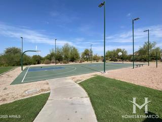 Grayfox at Las Sendas subdivision in the Las Sendas neighborhood of Mesa, AZ