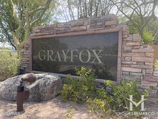 Grayfox at Las Sendas