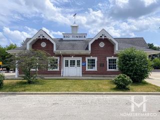 Big Timber Road station in Elgin, IL